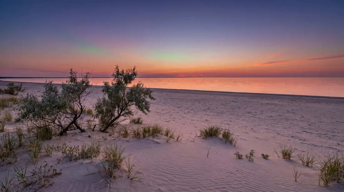 Une rive de lac sablonneuse à l'heure dorée, avec des herbes des dunes et des saules